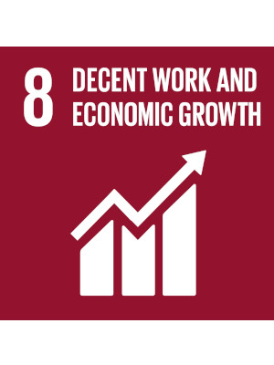 Decent Work and Economic Growth